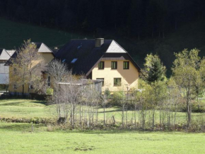 Apartment Stallbauer 1, Hinterwinkel, Österreich
